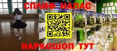 apvp Канаш