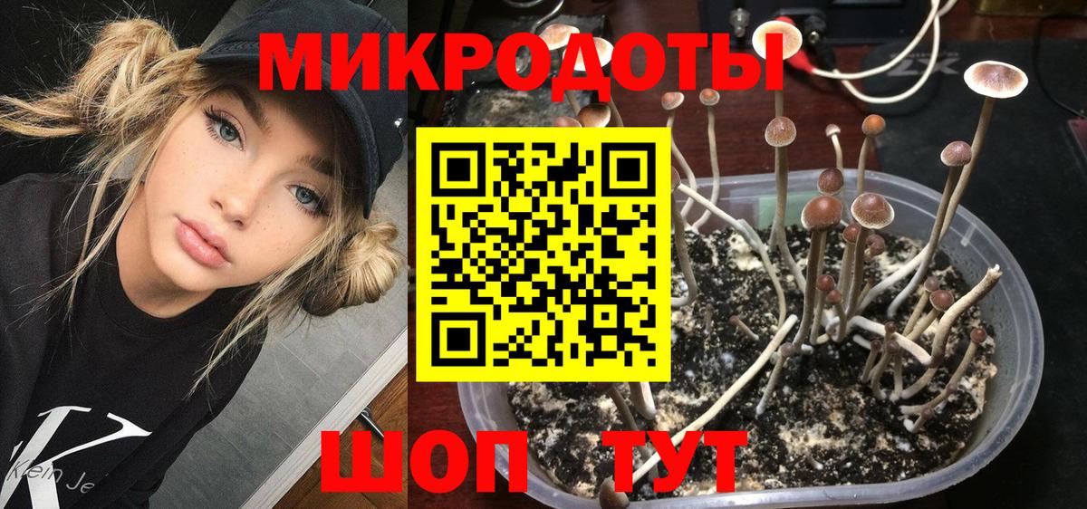 Биробиджан  Галлюциногенные грибы MAGIC MUSHROOMS  Галлюциногенные грибы мицелий  Вход с VPN 