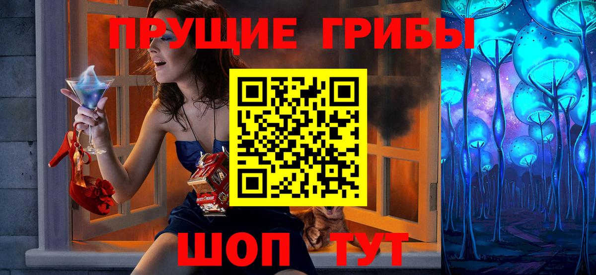 Псилоцибиновые грибы Psilocybe Биробиджан